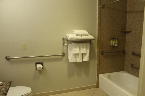 Holiday Inn Express Hotel & Suites Tucson Mall image 10